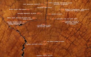 Tree rings with dates assigned to significant events.