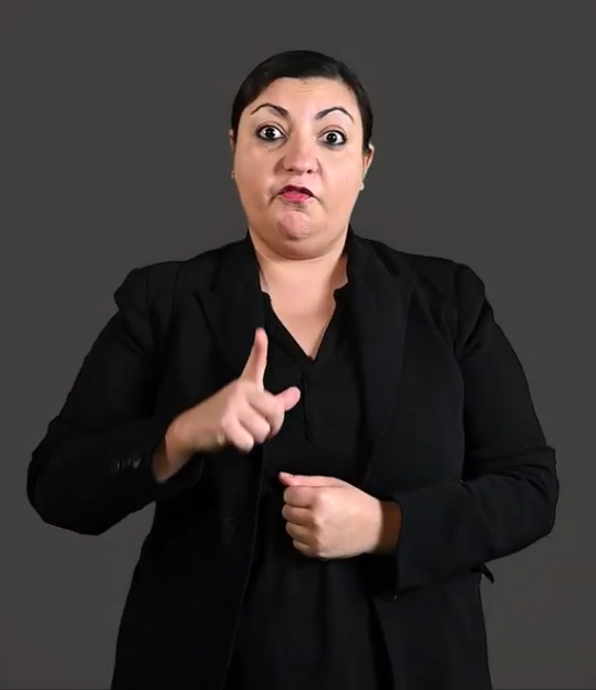 Screenshot from AGLAIA sign for fibula